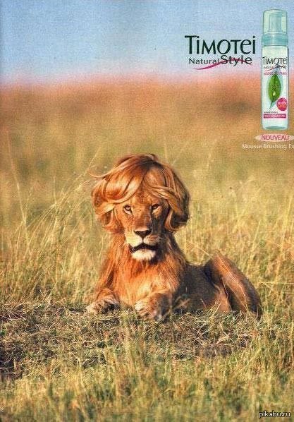 �������)