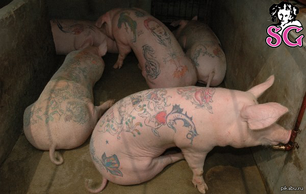 Suicide Girls    Photoshop 