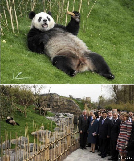 Кто тут красавчик?