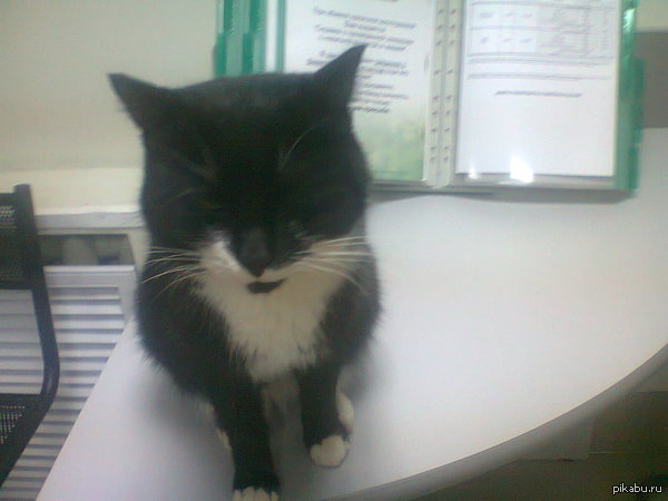 ��� � ���������.