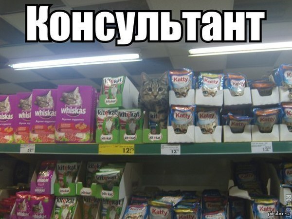 Консультант