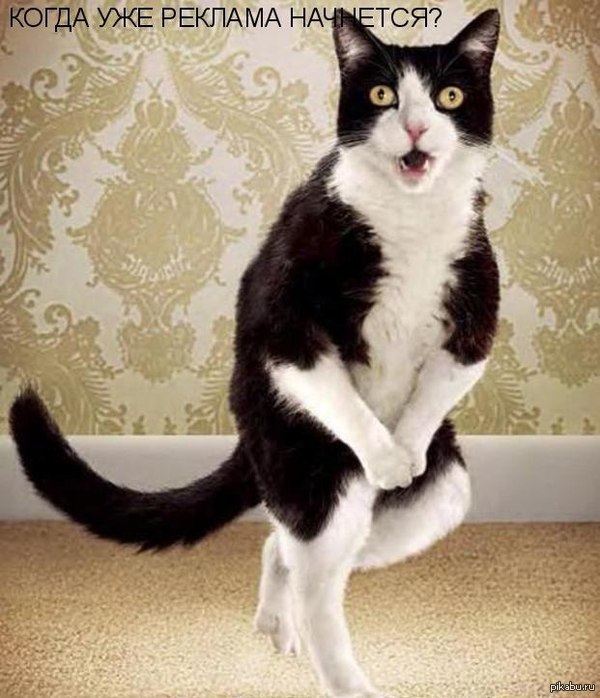 Знакомое чувство?))