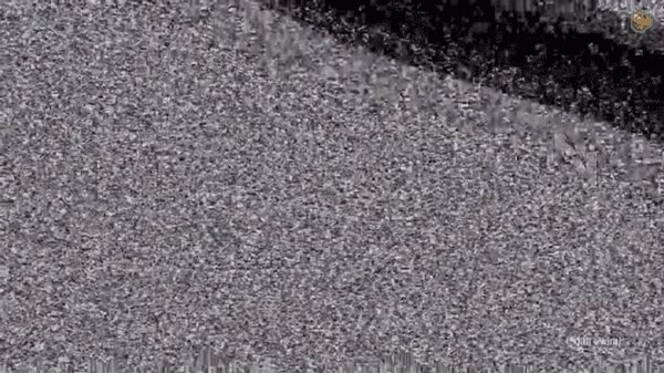 Just a lizard wizard in a blizzard.