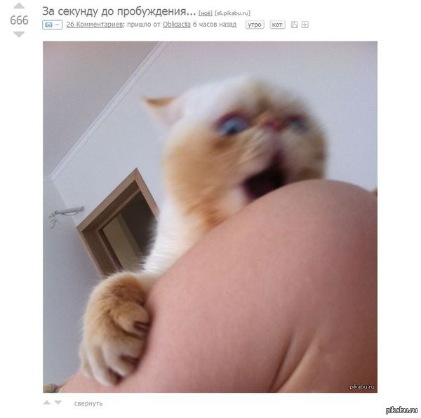 ����� ���������� �� ��������