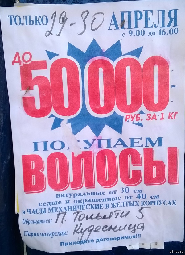 ����������.