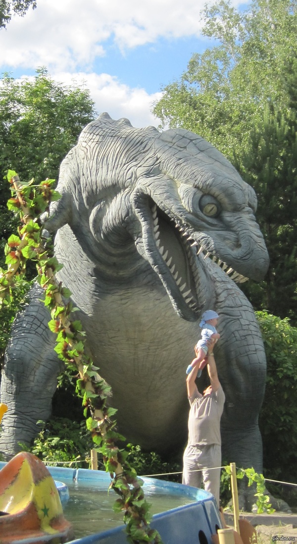 ������ ����