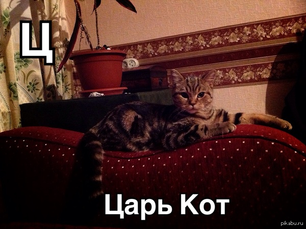 ���� ���