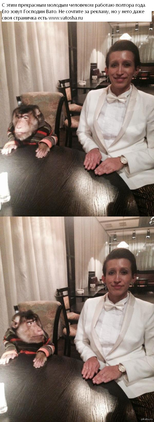 �������� ����.