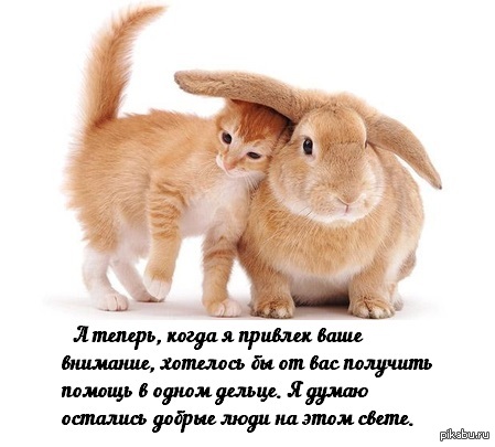 �������! ����� ������. (������� ��� ������� ������)