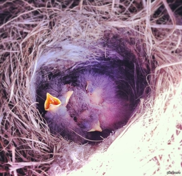 ���� �����!