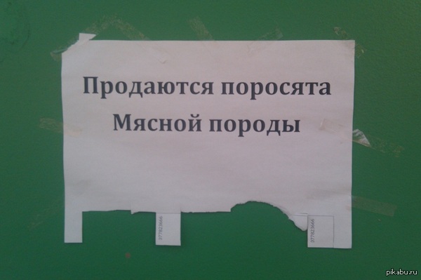 ��� �� �� �����������, ��� ��� � ����� ������ ������)