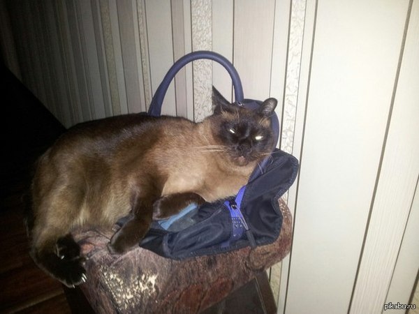 ������,��� � ���?