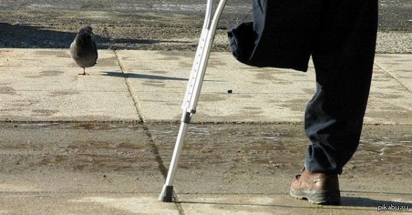 �� ������, �������.