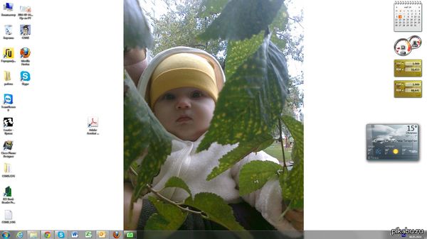 ���� ������