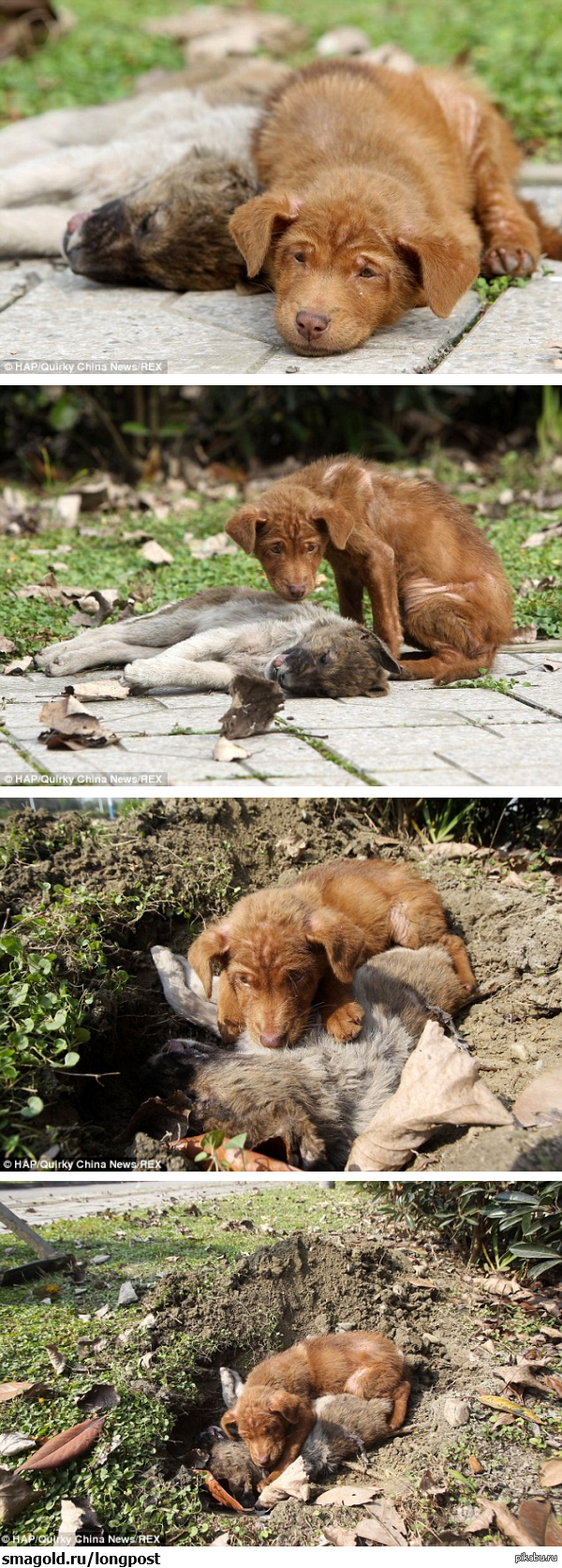 Прощание с сестрой.