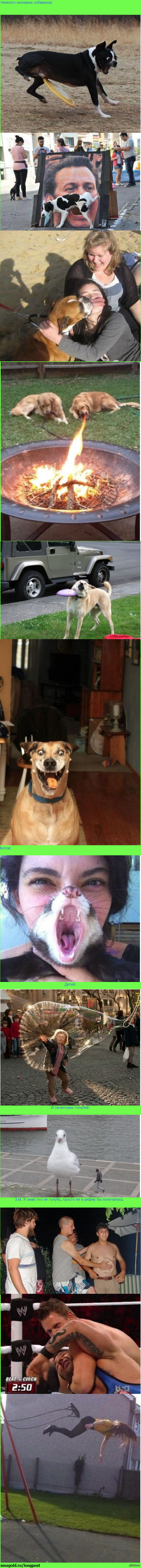 ������� ���� ��������� � ������ ������.