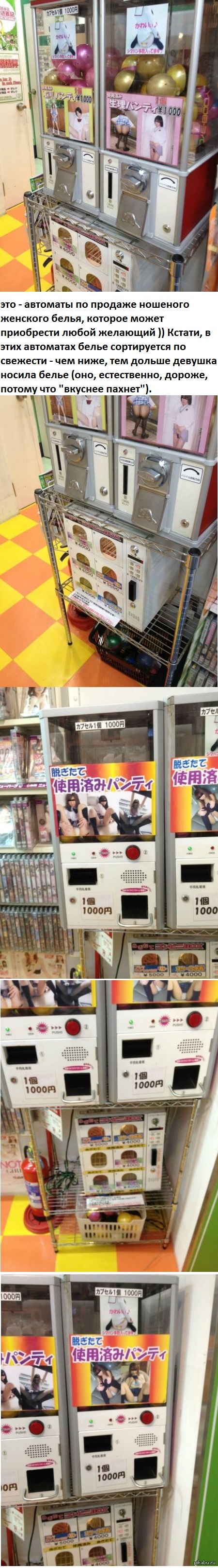 ��������� �������� ��������