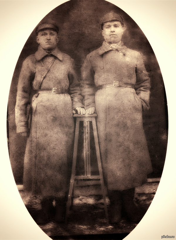   () -      ,   -    ( )