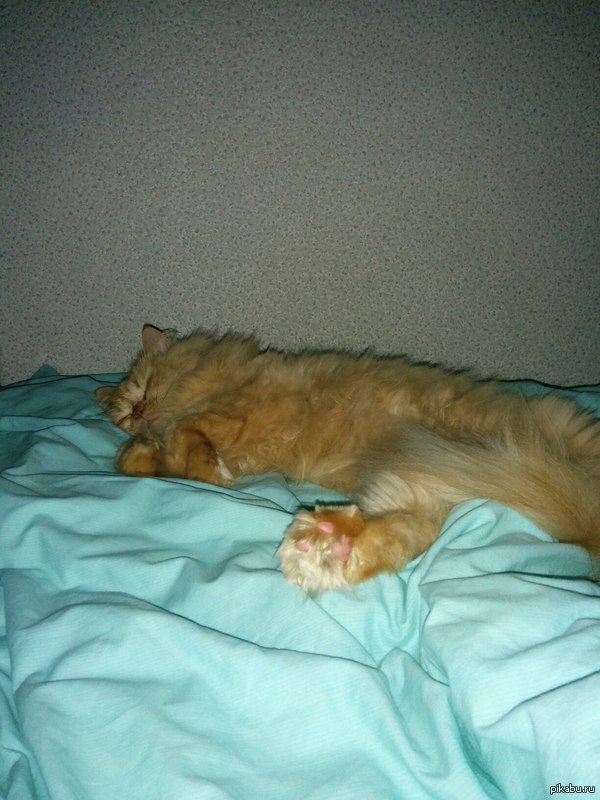 ��� ����� :3