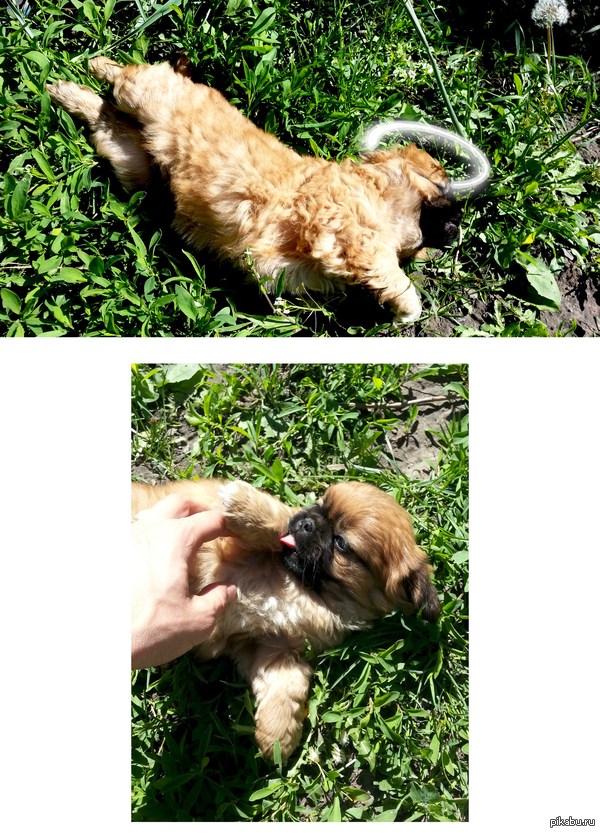 �� ������ ������ ������ ����������!