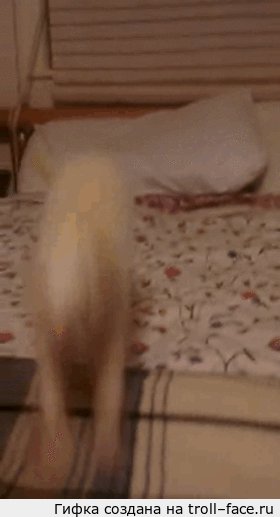 ..., .  ........  ,  .