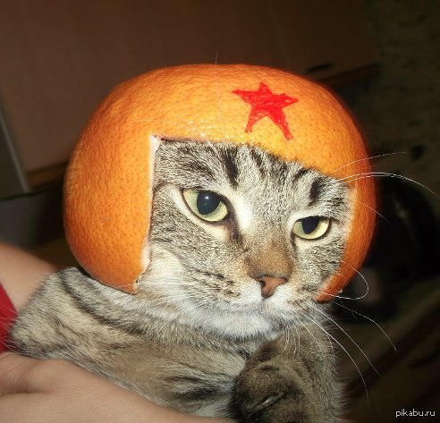 не моё просто улыбнуло