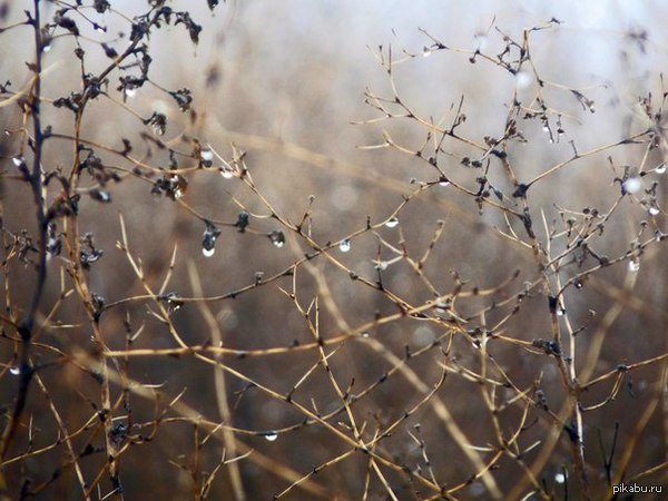 красивое утро