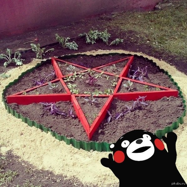 ������ ��������