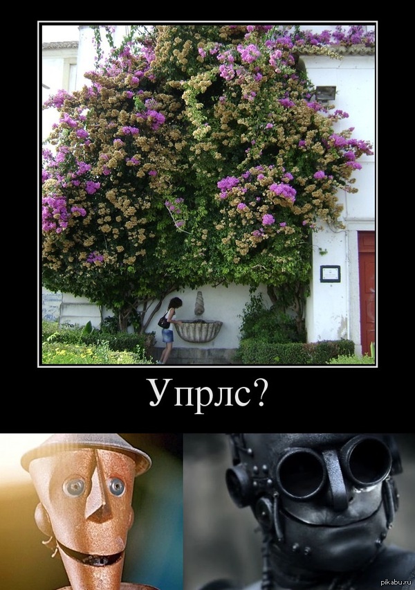    ? O_o