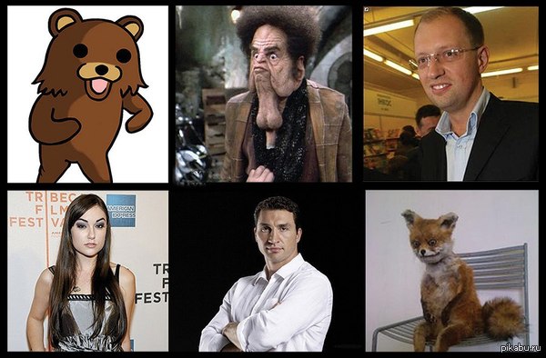 ����������� 2015.