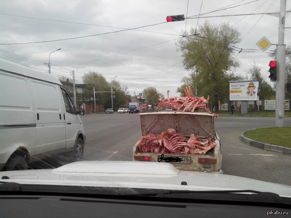 Костовозка.