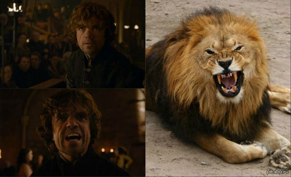 �� ���� ����������� - ������ ����� ������� ���