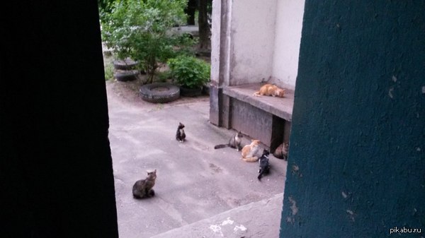 �������, � ������ � ���� ���� ���������