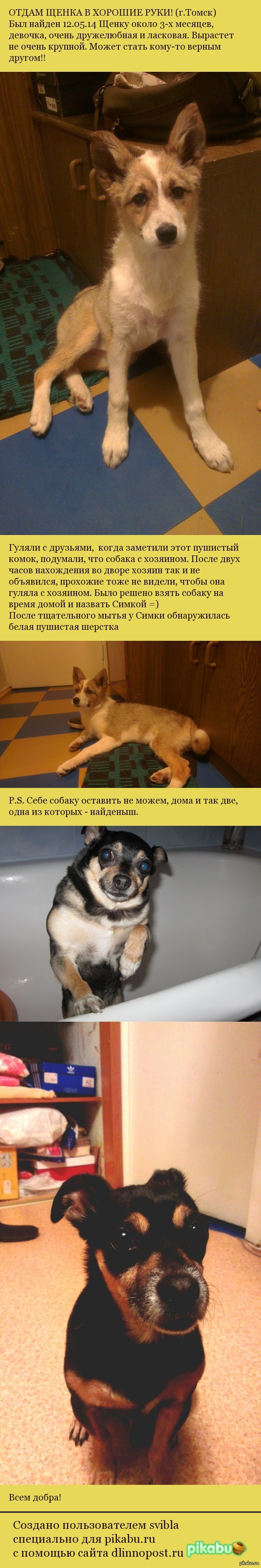 ����� ����� � ������� ����! �����  ��������� ���������� � �������  �� �������� ����������� ��� ������� ������