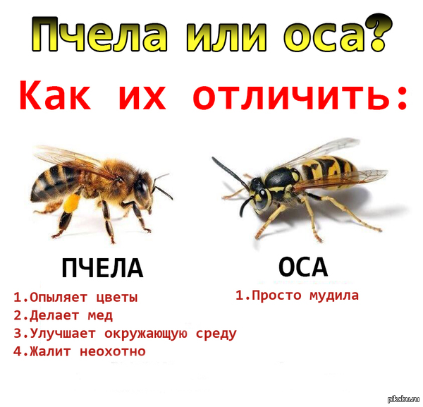 В чем отличие?