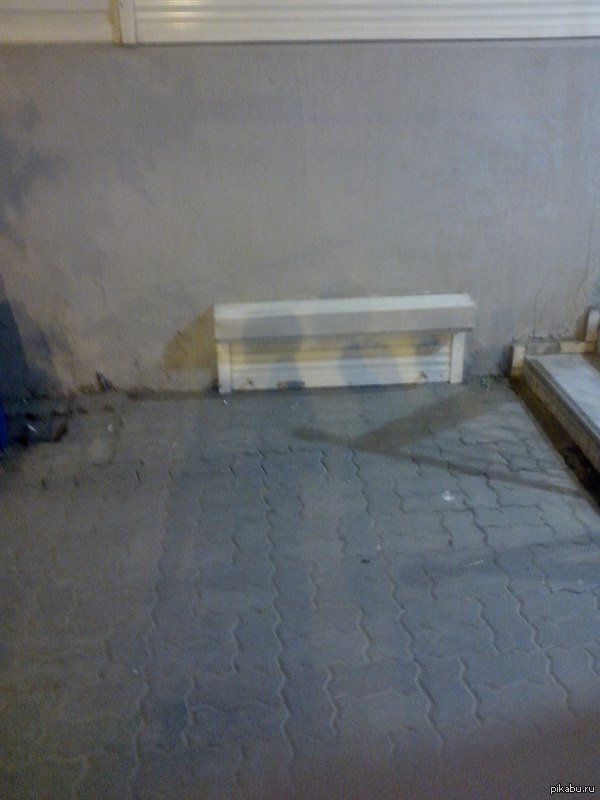 ���������� ��������� ����-������