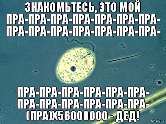 ---------------------------------- 