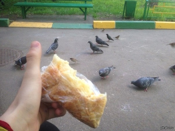 Рекрут в лигу добра