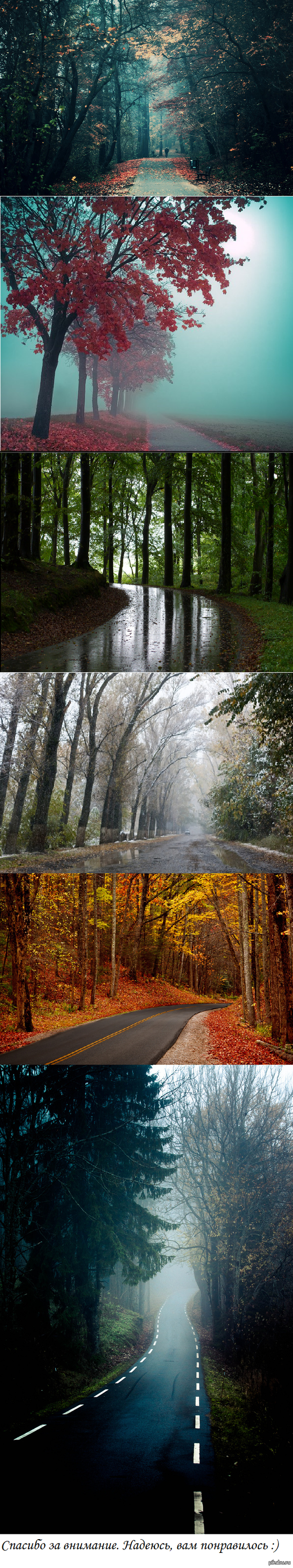 Дороги, по которым хочется пройти...