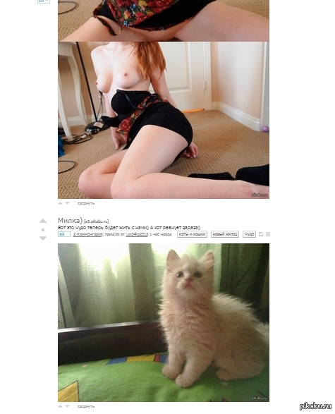 The cat is jealous, but a miracle is a miracle. - NSFW, My, cat, Boobs, Miracle, Coincidence