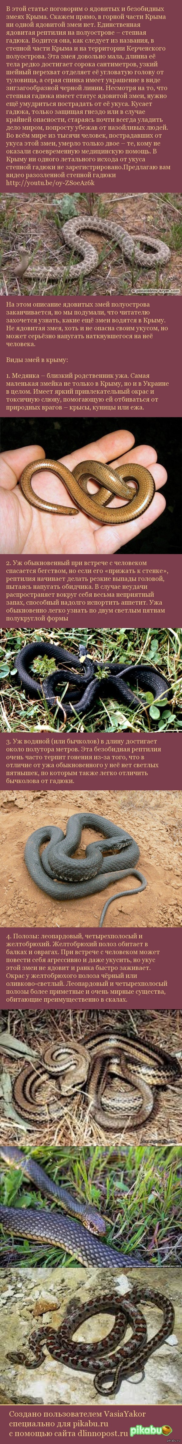 � ����� � ��� ��� � �������� ��������� �� ��������� � ���� ������ ��������� ��� ����.