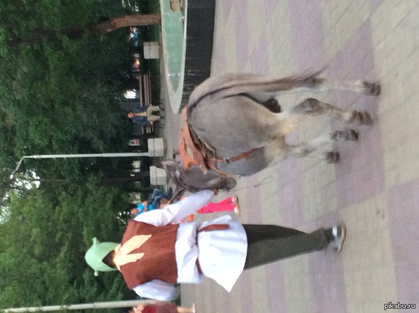 Косплей Шрека