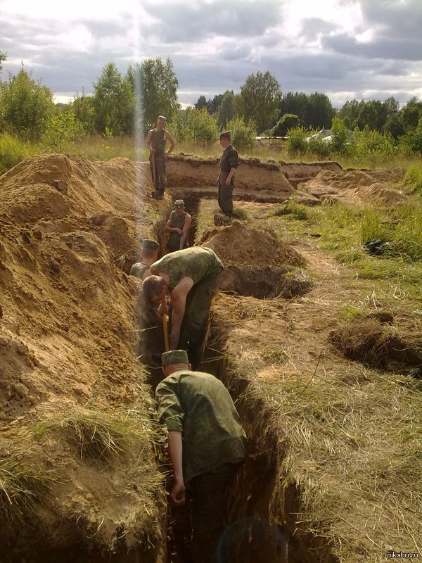          .      (     )    ...