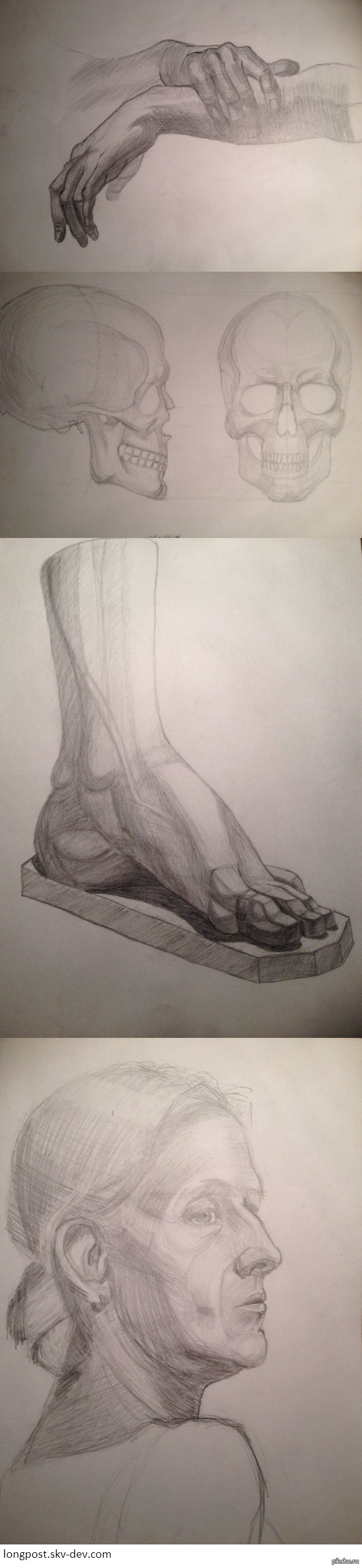 Учусь рисовать