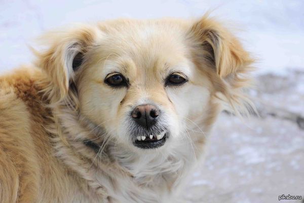 ������ � ������� �� ����� � ���� ��������.