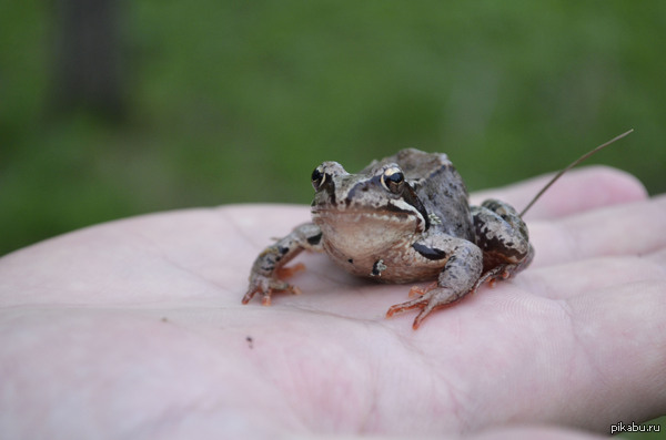 ��������� ��. ������ ����� ����� � ������. ����� ���� �� �������, �� �� ��� ������� �������������� ����� ������)