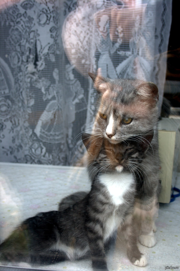 В поддержку пятничного тега "моё"