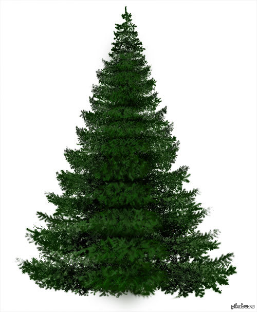 ���� ���������� ���������� ���� !!!