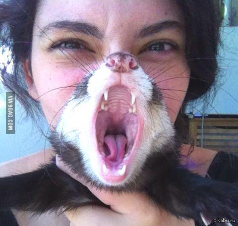 �� ��� �� ������ � �������?