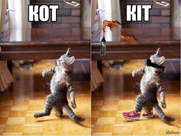 С просторов интернета :)